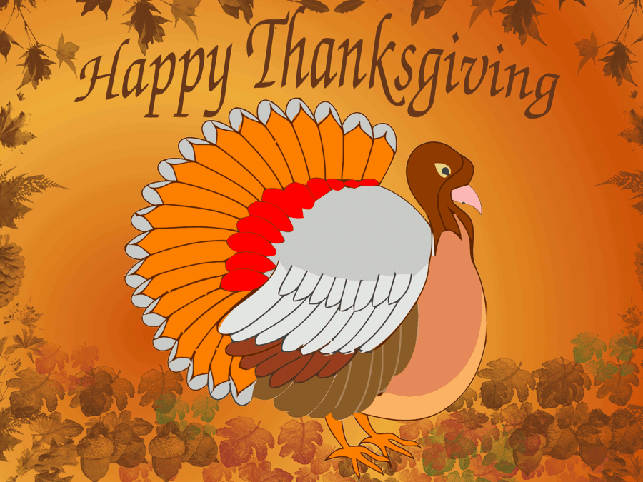 Cute Thanksgiving Orange Peacock Wallpaper