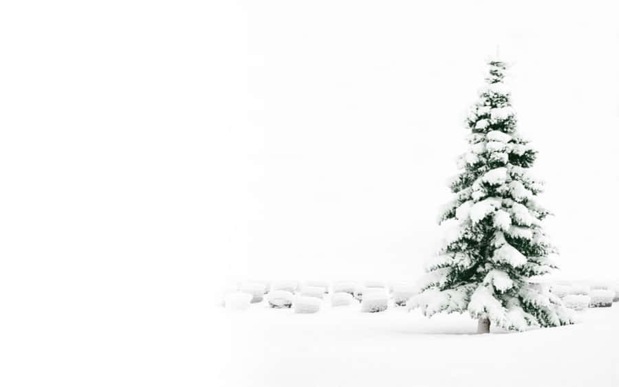 Cute White Christmas Tree Snow Wallpaper