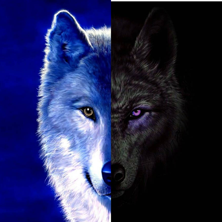 Cute Wolf Yin Yang Wallpaper