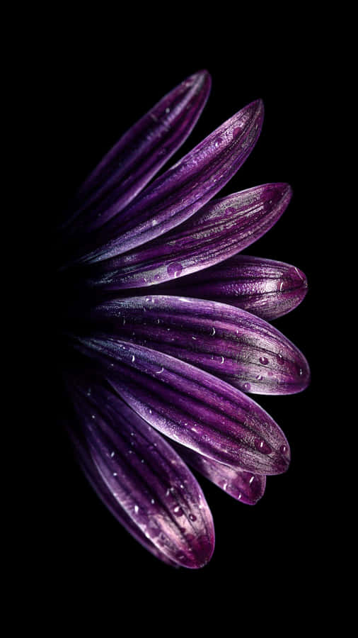 Cutting Edge 4k Super Amoled Phone Wallpaper