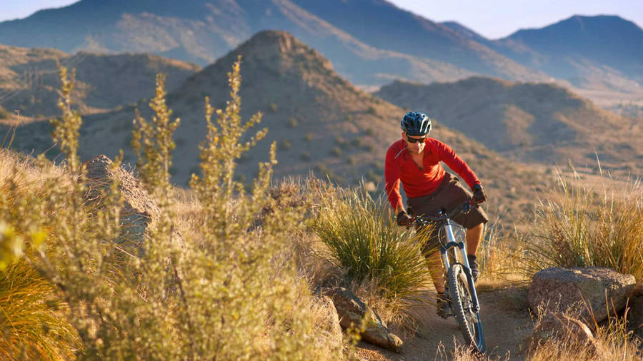 Cyclist Trail Ride Mountain Biking Wallpaper