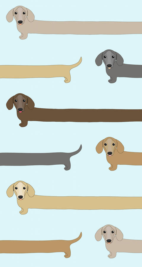 Dachshund Cartoon Dogs Wallpaper