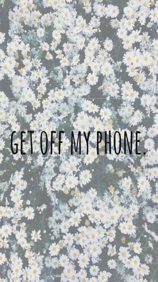 Daisies Get Off My Phone Wallpaper