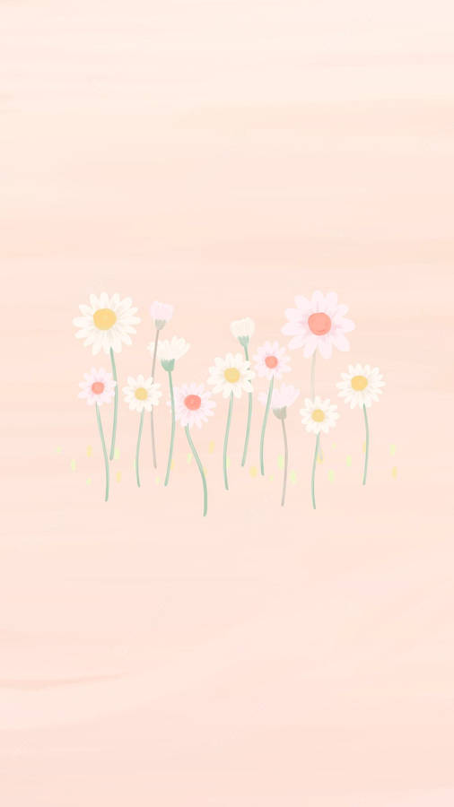 Daisies On A Pink Background Wallpaper