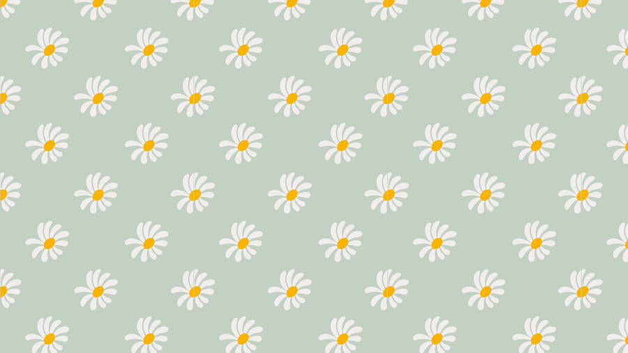 Daisies Sage Green Desktop Wallpaper