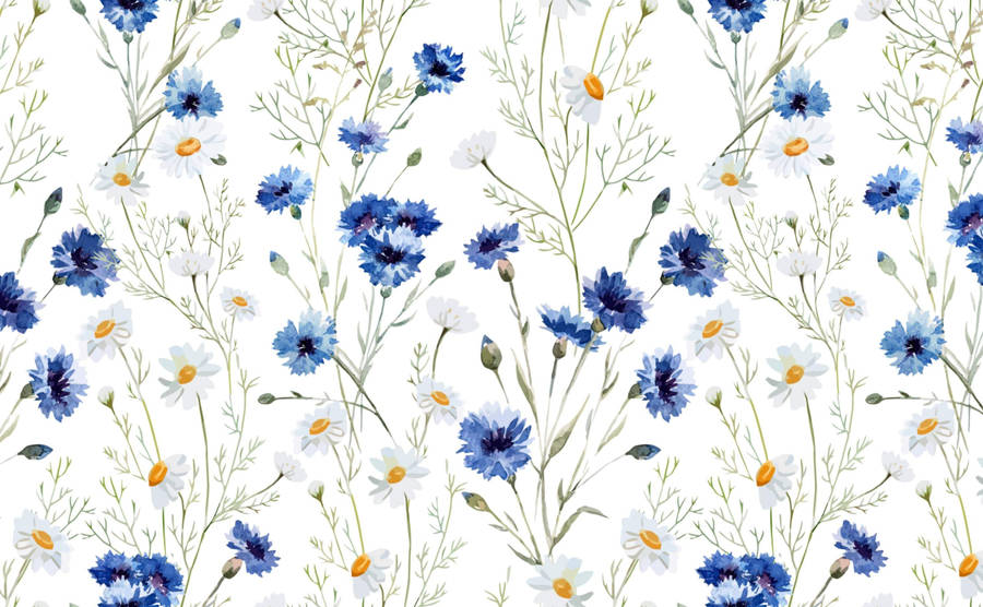 Daisy Art Spring Aesthetic Wallpaper