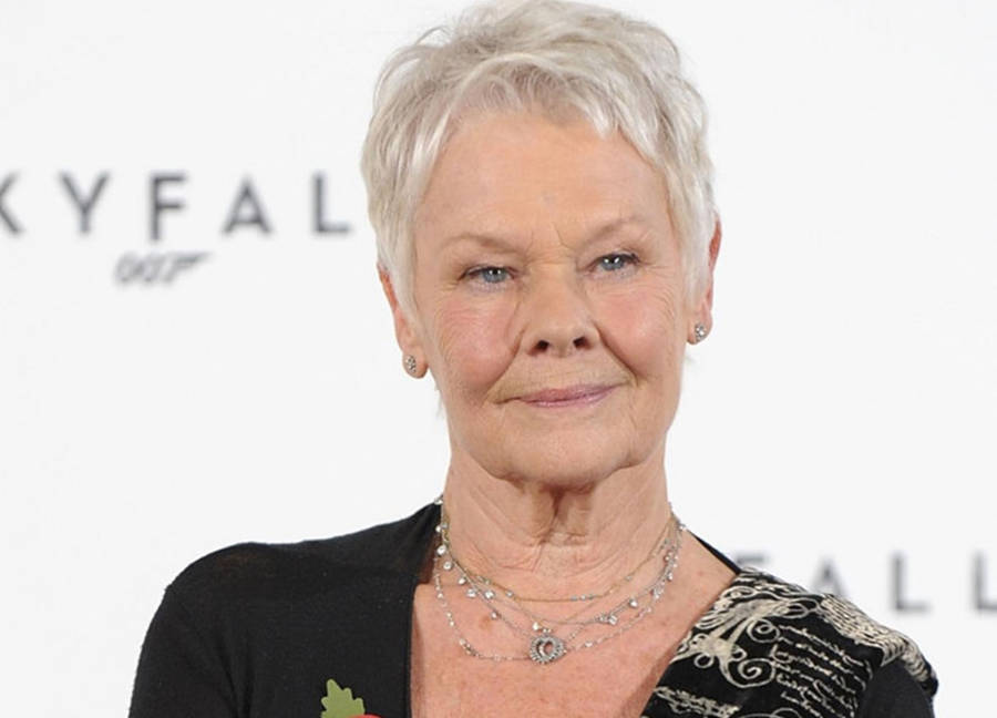 Dame Judi Dench At A Movie Premiere Wallpaper