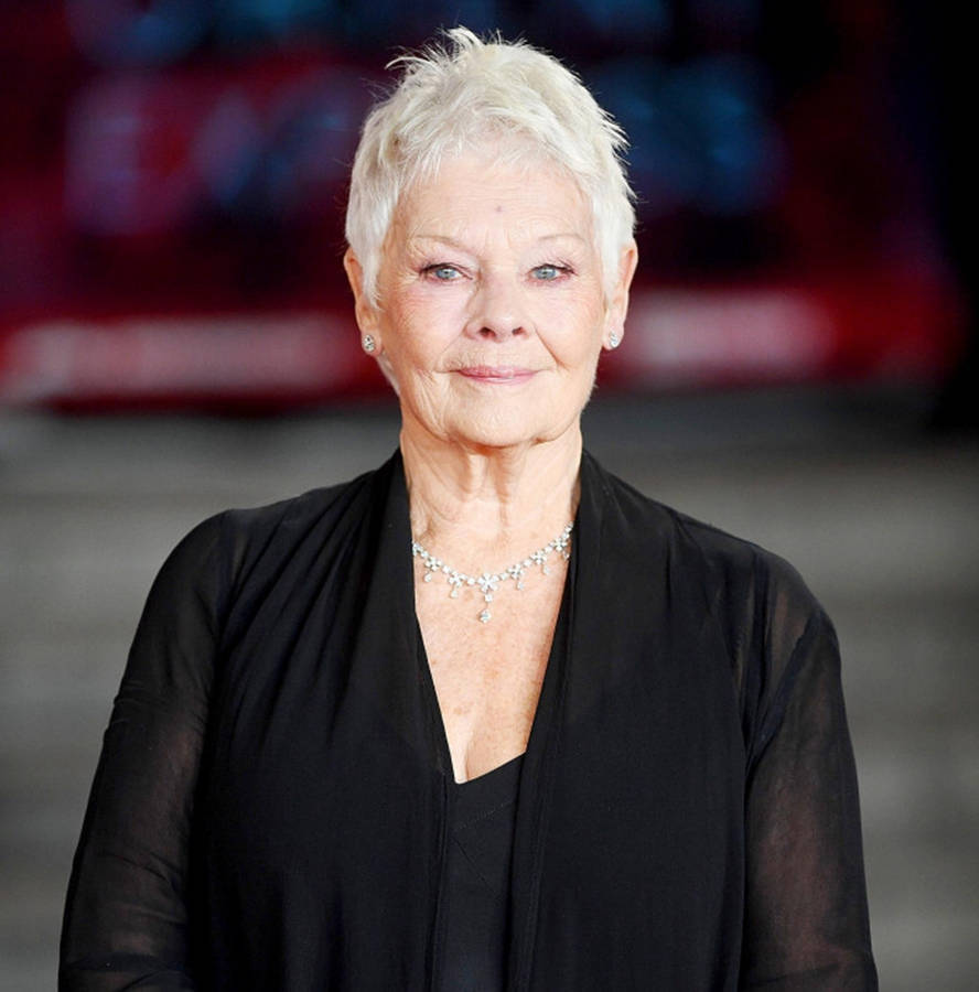 Dame Judi Dench Graces With Her Elegant Smile Wallpaper