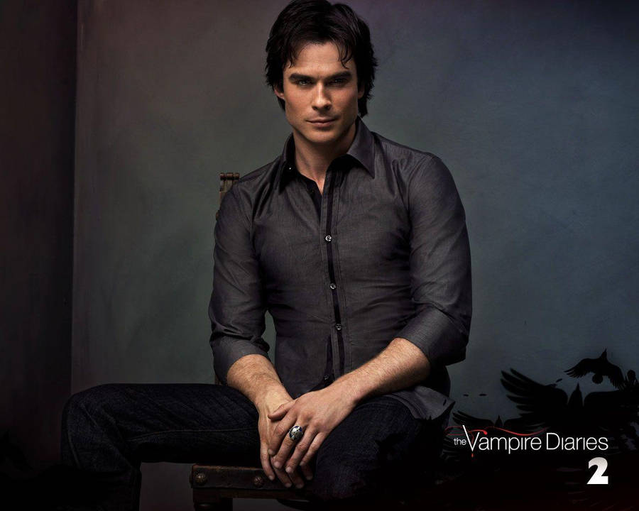 Damon Salvatore Of Vampire Diaries 2 Wallpaper