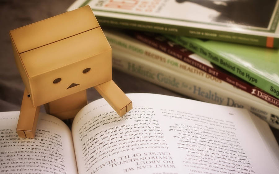 Danboard Reading A Book Wallpaper