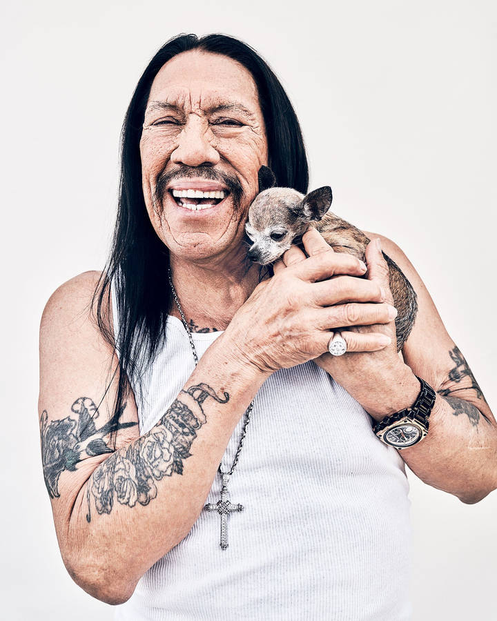 Danny Trejo With Chihuahua Puppy Wallpaper