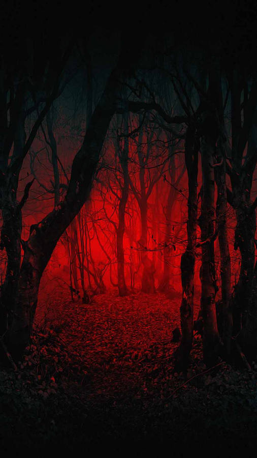 Dare To Unlock The Secrets Of This Mysterious, Eerie Iphone Wallpaper