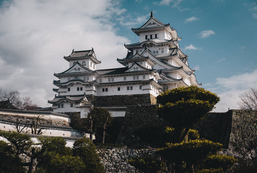 Dark Aesthetic Himeji Castle Wallpaper