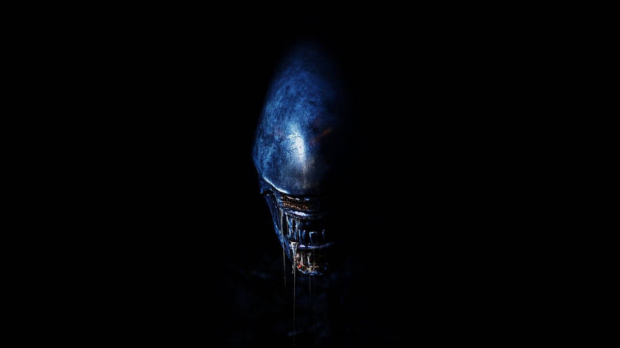 Dark Alien Movie Wallpaper