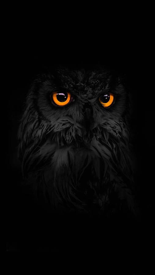 Dark Android Eurasian Owl Eyes Wallpaper