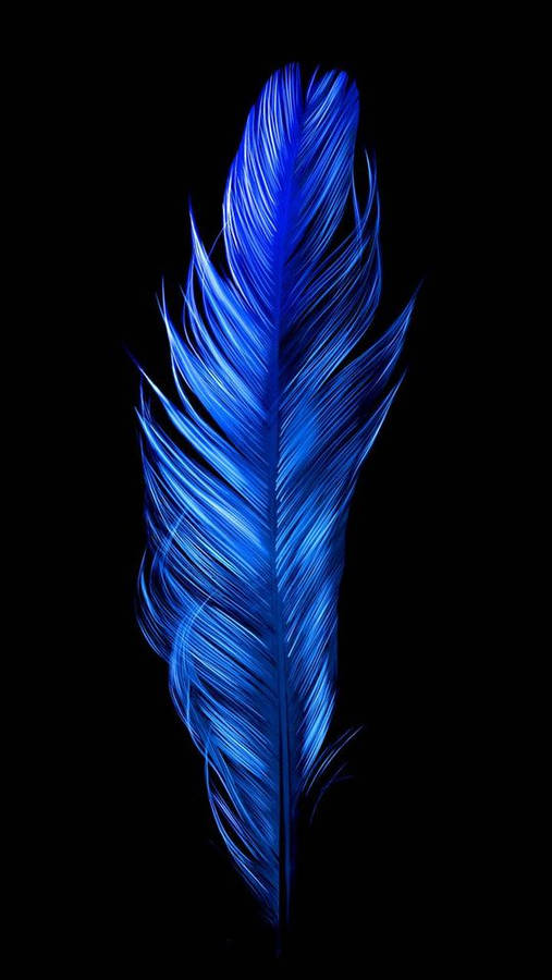 Dark Blue Aesthetic Tumblr Feather Wallpaper