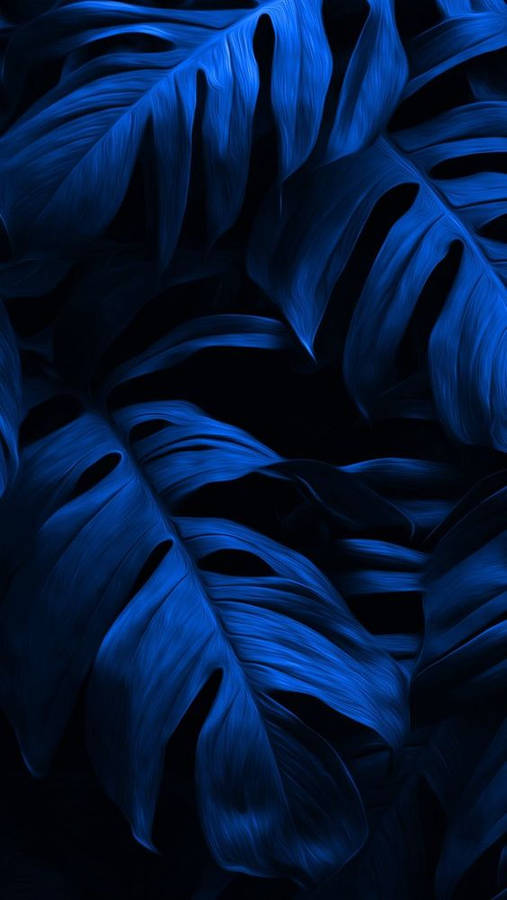 Dark Blue Aesthetic Tumblr Monstera Leaves Wallpaper