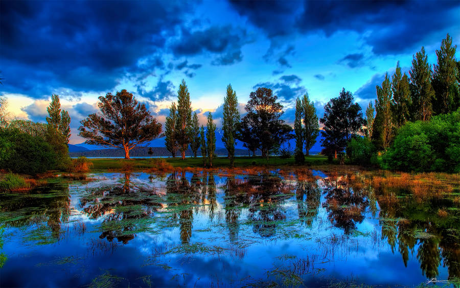 Dark Blue Clouds Over Treeline Wallpaper