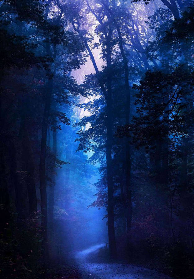 Dark Blue Forest Ipad 2021 Wallpaper