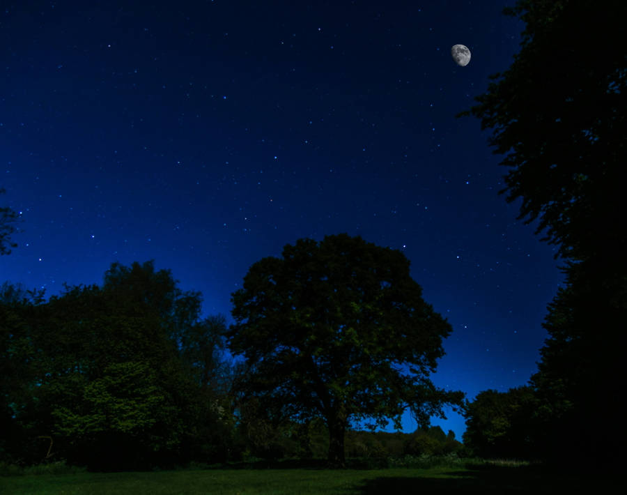 Dark Blue Sky Moonlight 4k Wallpaper