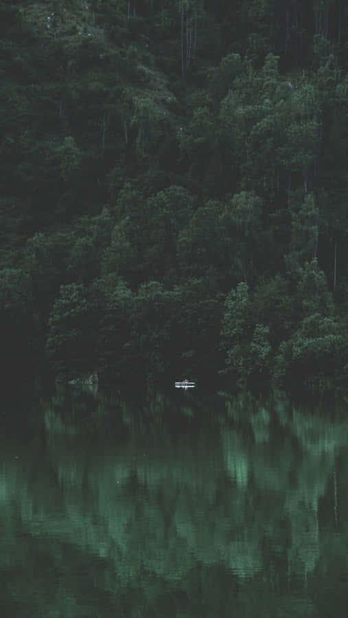 Dark Forest And River Relaxing Iphone Wallpaper