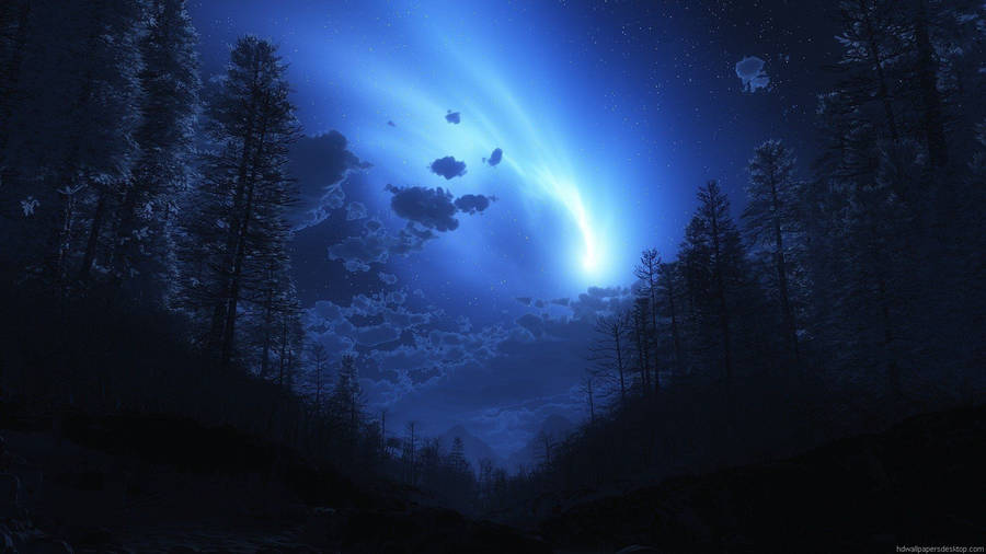 Dark Forest Anime Night Sky Wallpaper