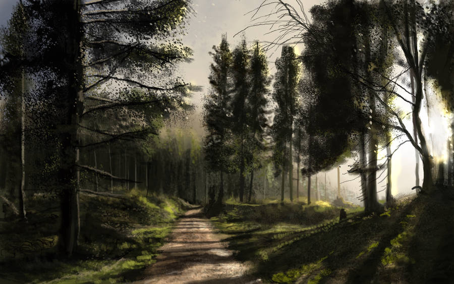 Dark Forest Art Drawing Wallpaper