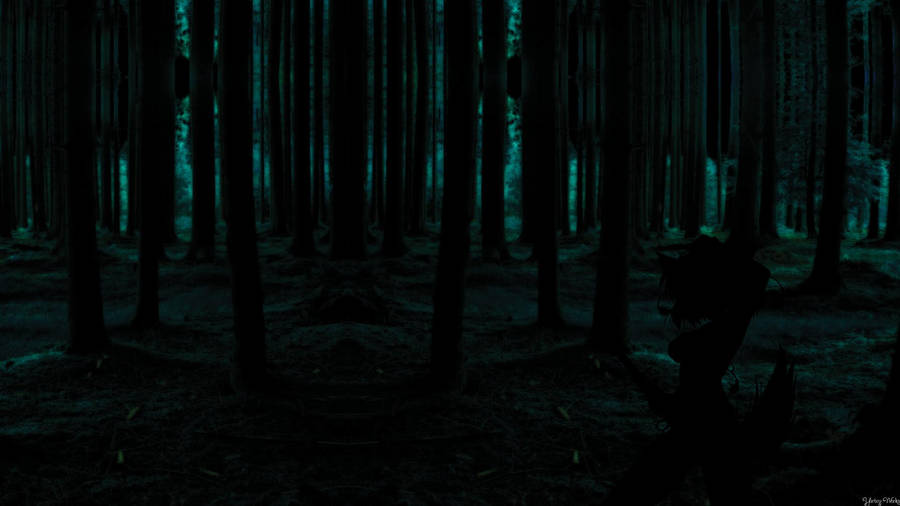Dark Forest Night Wallpaper