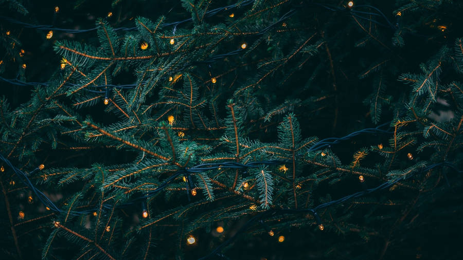 Dark Green Christmas Aesthetic Desktop Wallpaper