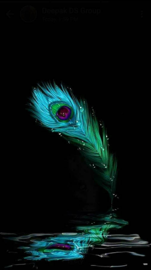 Dark Krishna Feather With A Liquid Wallpaper