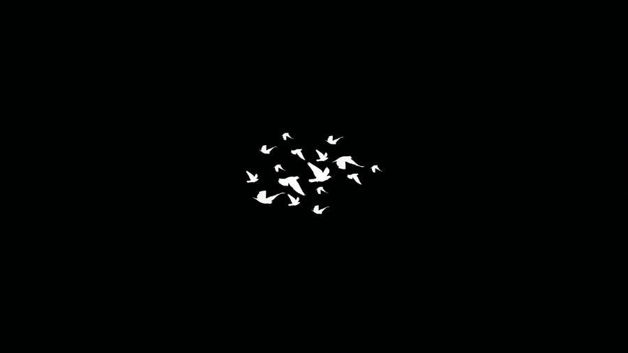 Dark Minimalist Flock Of Birds Wallpaper