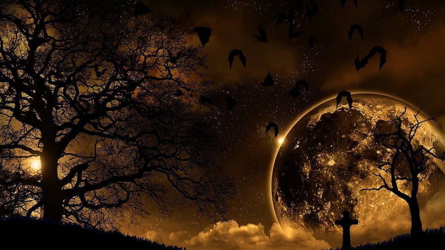 Dark Nature Scenery With Birds Wallpaper