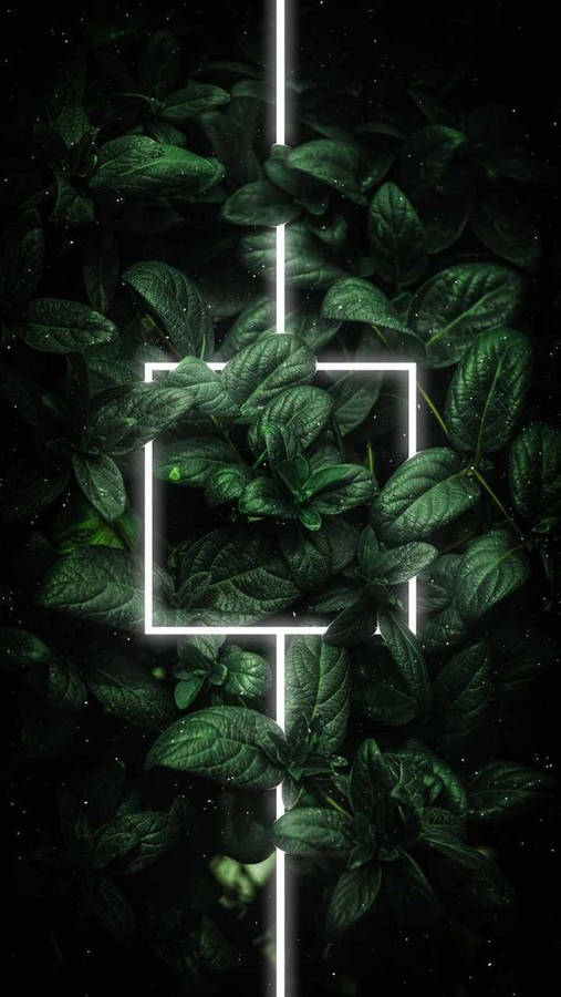 Dark Neon Iphone Nature Wallpaper