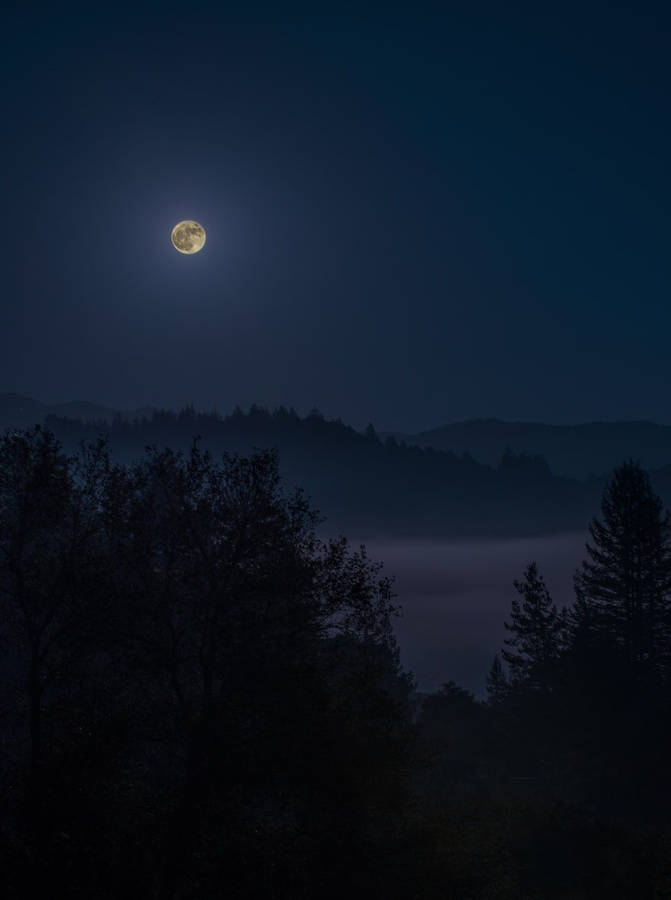 Dark Night And Vast Landscape Wallpaper