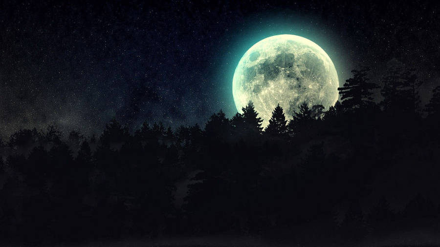 Dark Night Moon And Forest Wallpaper