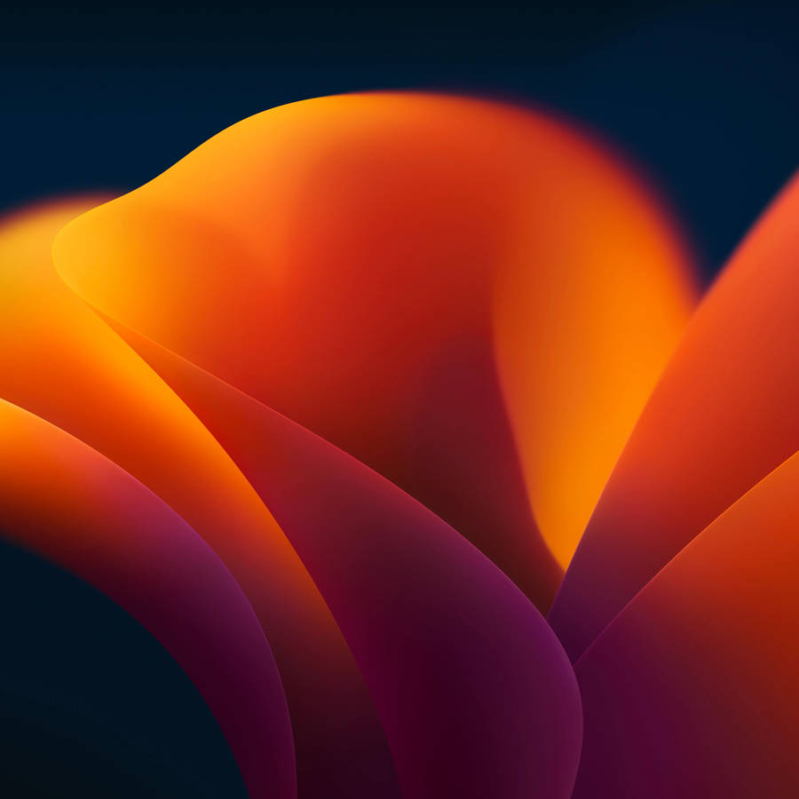 Dark Orange Floral Art Ios 16 Wallpaper