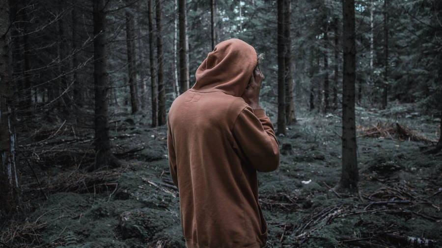 Dark Orange Hoodie In Forest Wallpaper