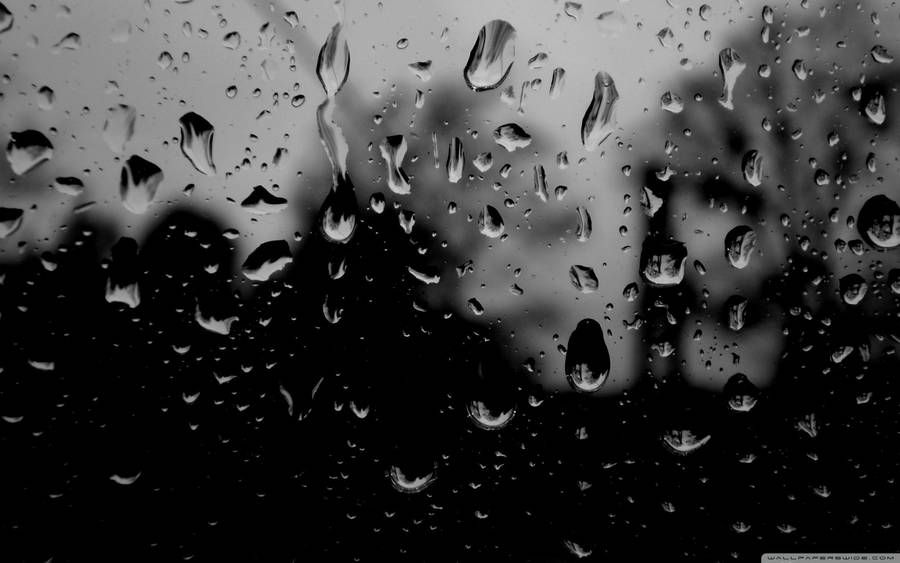 Dark Rain Droplets Wallpaper