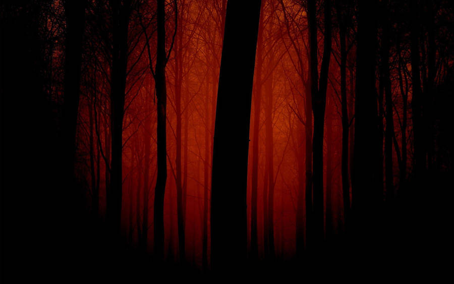 Dark Red Forest Wallpaper