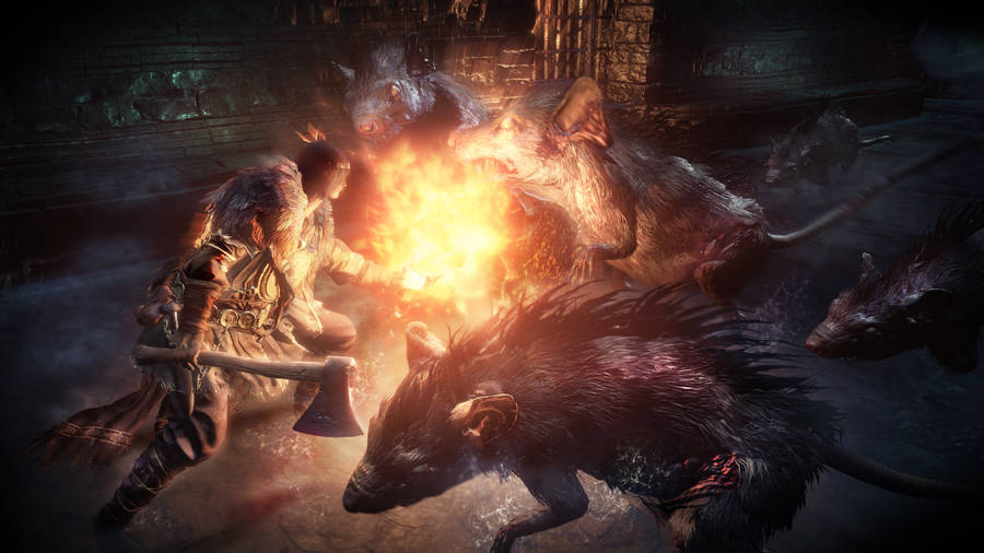 Dark Souls Iii Giant Rats Wallpaper