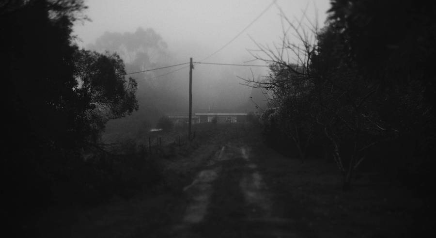 Dark Theme Foggy Area Dirt Road Wallpaper