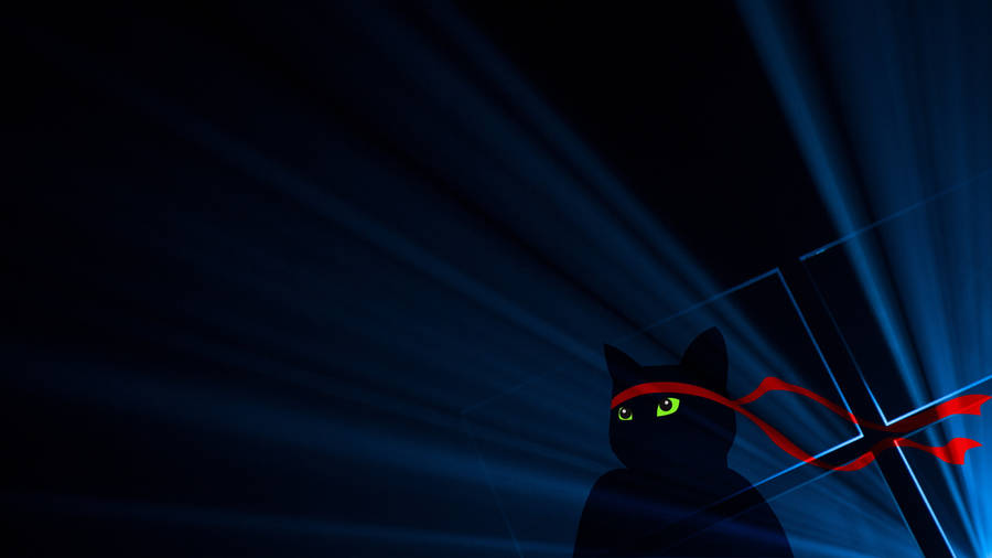 Dark Windows Cat Ninja Wallpaper