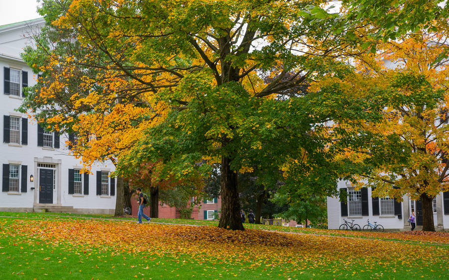 Dartmouth College Campus View Wallpaper