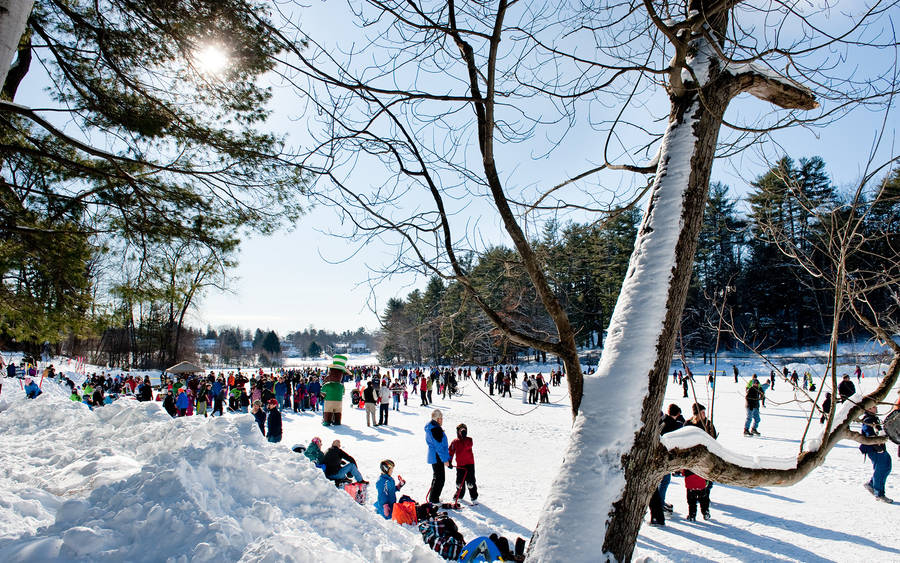 Dartmouth College Winter Carnival Wallpaper