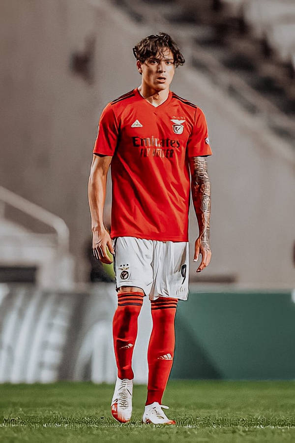 Darwin Núñez Benfica Standing Wallpaper