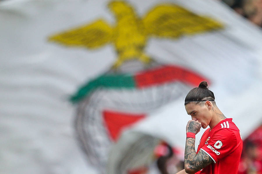 Darwin Núñez Thinking Benfica Flag Wallpaper