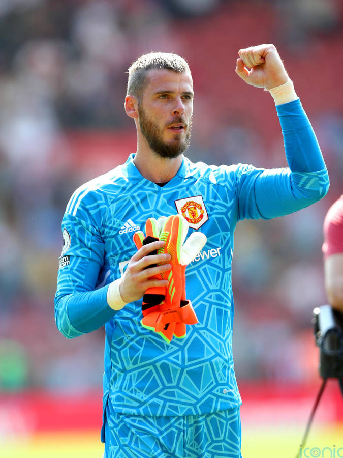 David De Gea Fist Pump Wallpaper