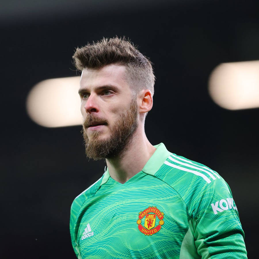 David De Gea In Green Jersey Wallpaper