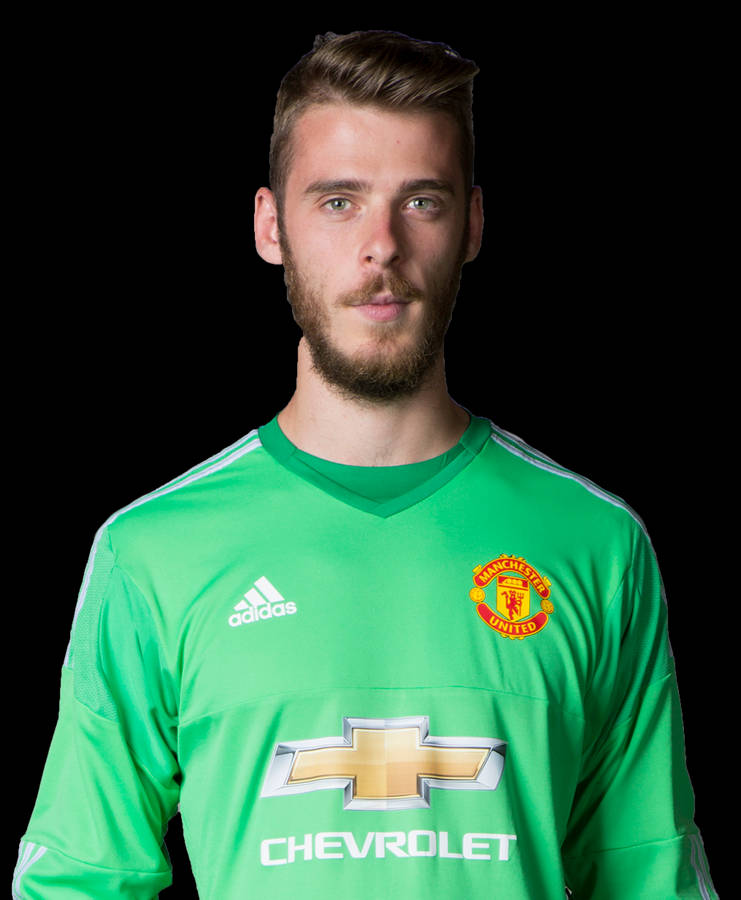 David De Gea Mid-action In Manchester United Goal Wallpaper