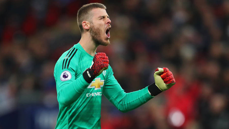 David De Gea Victorious Celebration Wallpaper